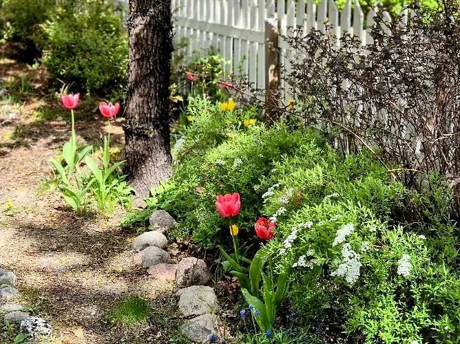 Mosahiisi Charming Poolside Getaway * Helsinki