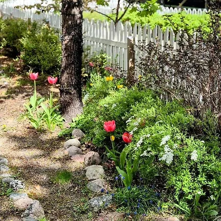 Mosahiisi Charming Poolside Getaway * 赫尔辛基